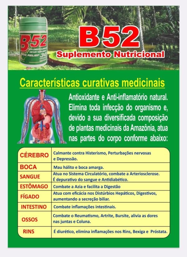 Novo B52 Fitoterápico Original - 30 Cápsulas (1 Pote) - Imagem 2