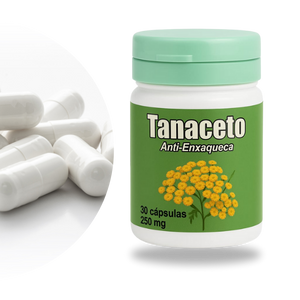 tanaceto