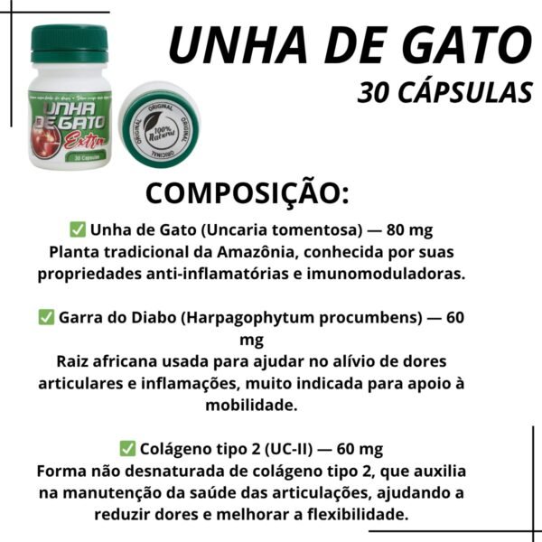 Unha de Gato Extra Fitoterápico Natural - 30 Cápsulas (1 pote) - Imagem 6