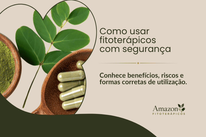 Como usar fitoterápicos com segurança: almofariz com ervas medicinais, cápsulas naturais e frasco de fitoterápico.